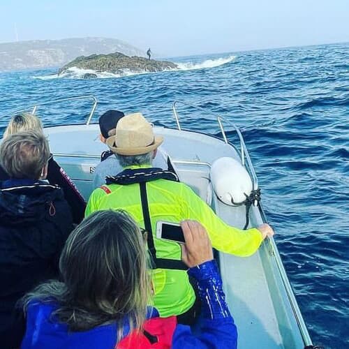 Clientes en una ruta turística marinera en barco por Ponteceso con Surca