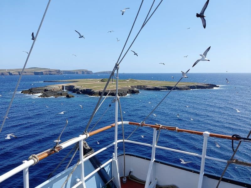 Ruta en barco Corme-Sisargas con parada en las islas Sisargas