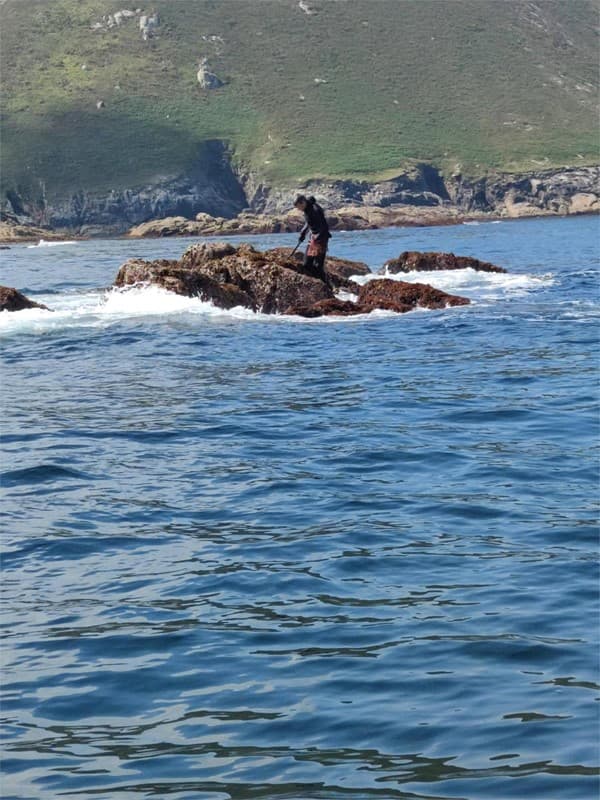 Vive de primera mano el marisqueo de los percebes en Ponteceso