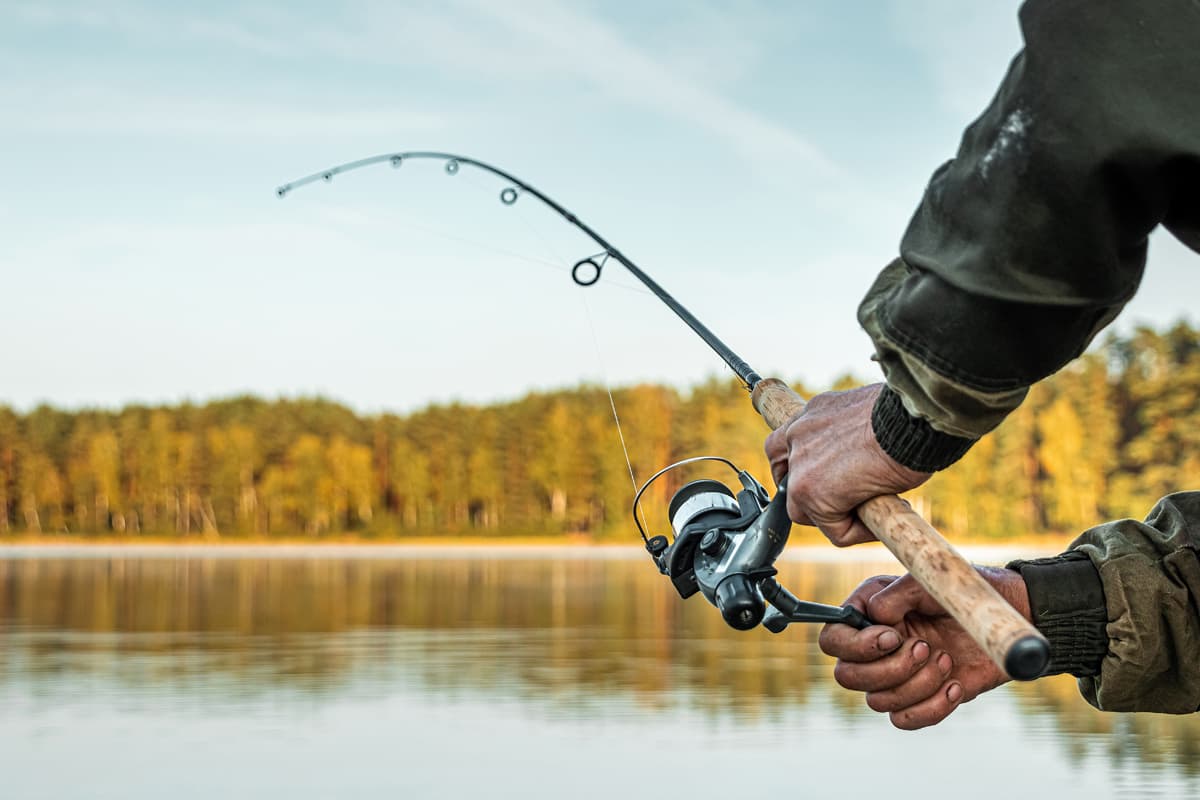  Atrévete a vivir nuevas experiencias con nuestras salidas de pesca